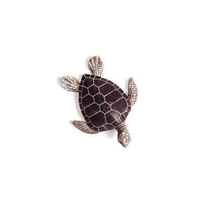 Adorno Tortoise