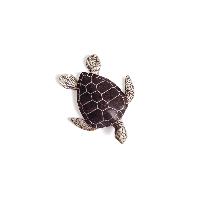 Adorno Tortoise