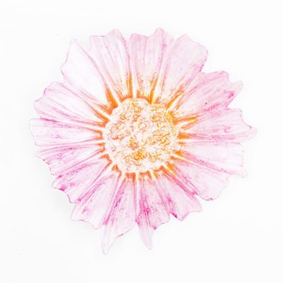 Fuente Dahlia
