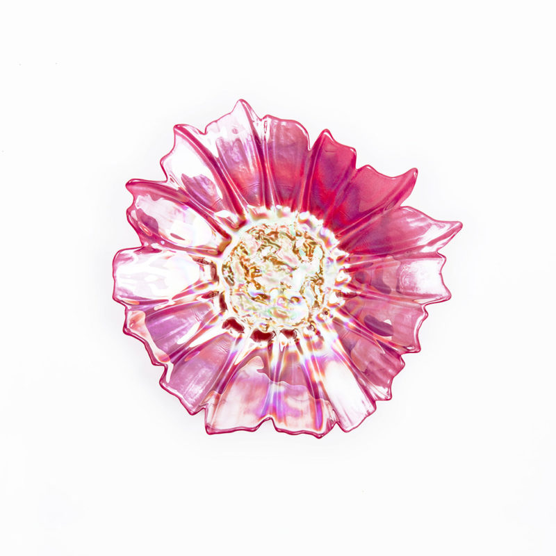Fuente Dahlia - Imagen 2