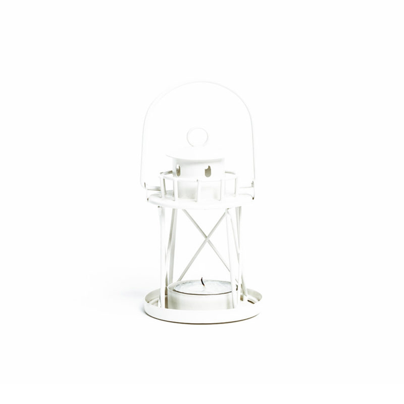 Lantern Celadine