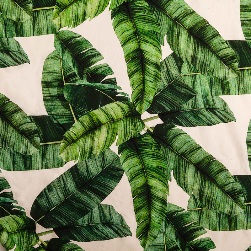 Mantel Palm