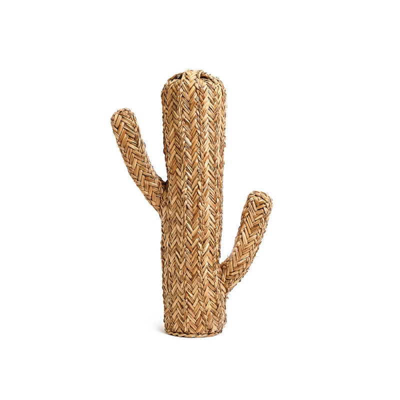 Adorno Cactus